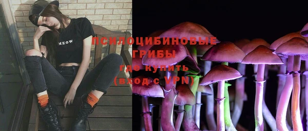 гидропоника Аркадак