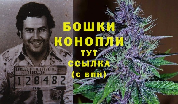 гидропоника Аркадак