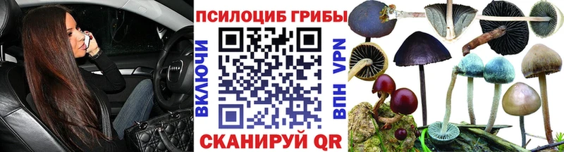 Псилоцибиновые грибы GOLDEN TEACHER  купить наркоту  Арск 